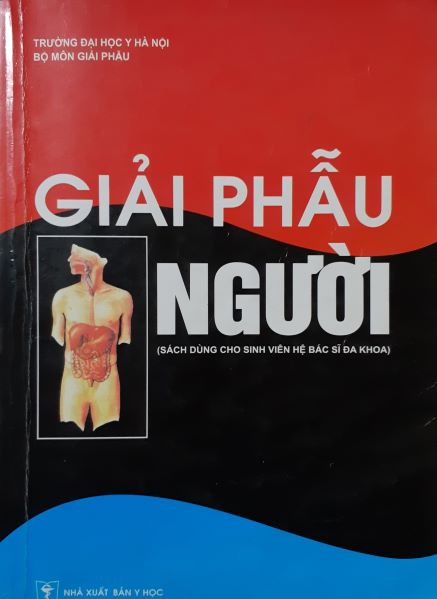 Bệnh đau lưng và thuốc chữa